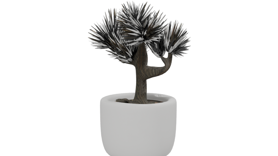 Stylized Bonsai Tree Model 3D - Professional 3D Model Render 13