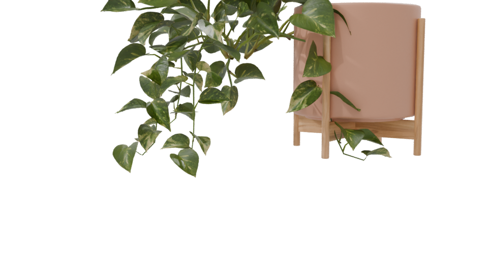 Pothos Plant in Pot 3D Model - Professional 3D Model Render 8
