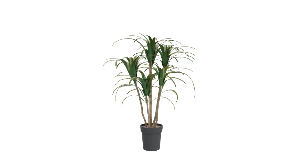Stylized Pot Plant 3D Model - Professional 3D Model Render 11
