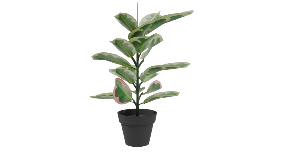 Artificial Pink Rubber Plant 3D - Professional 3D Model Render 3