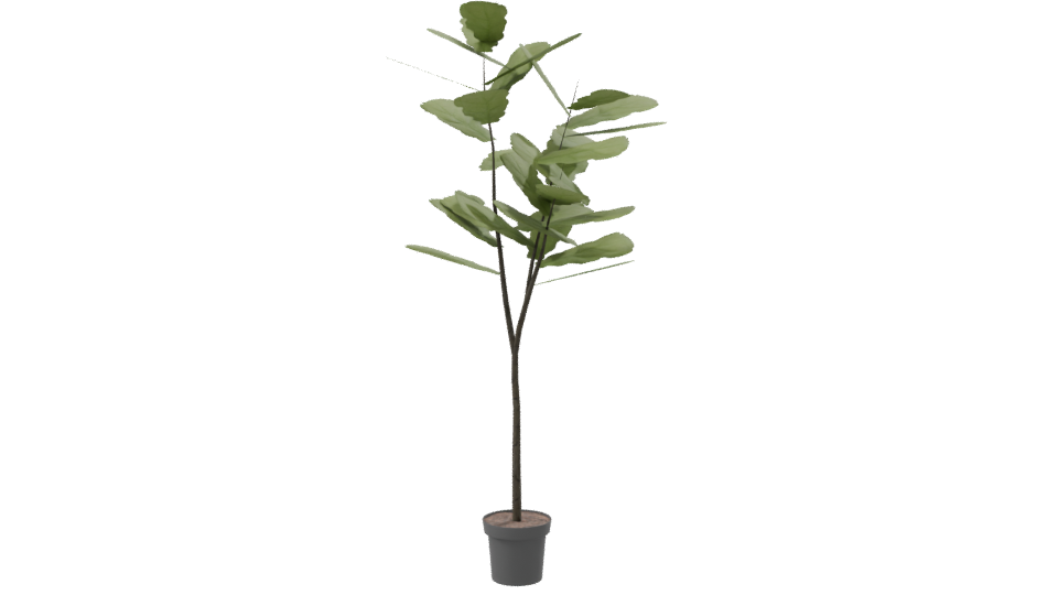 Stylized Indoor Plant 3D Model for Home Decor - Professional 3D Model Render 8