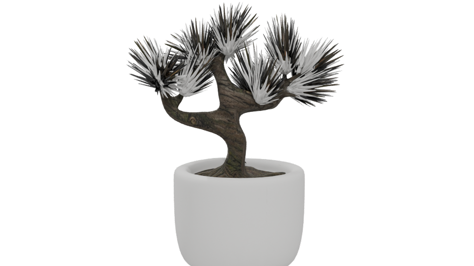 Stylized Bonsai Tree Model 3D - Professional 3D Model Render 5