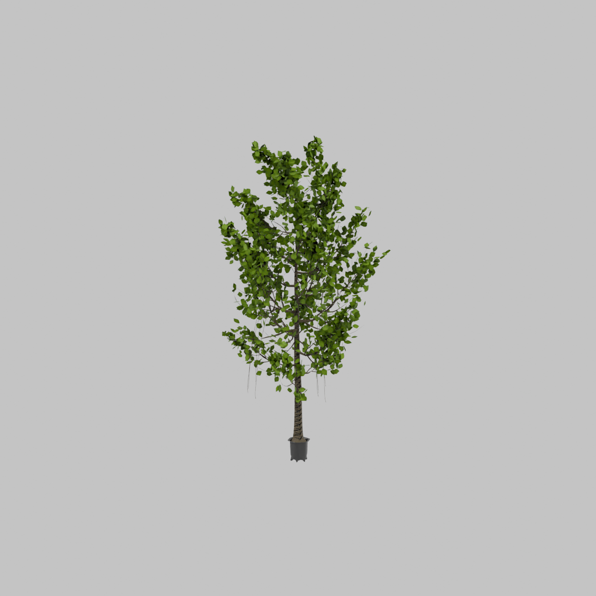 Planta_artificial_mini_ficus_190cm