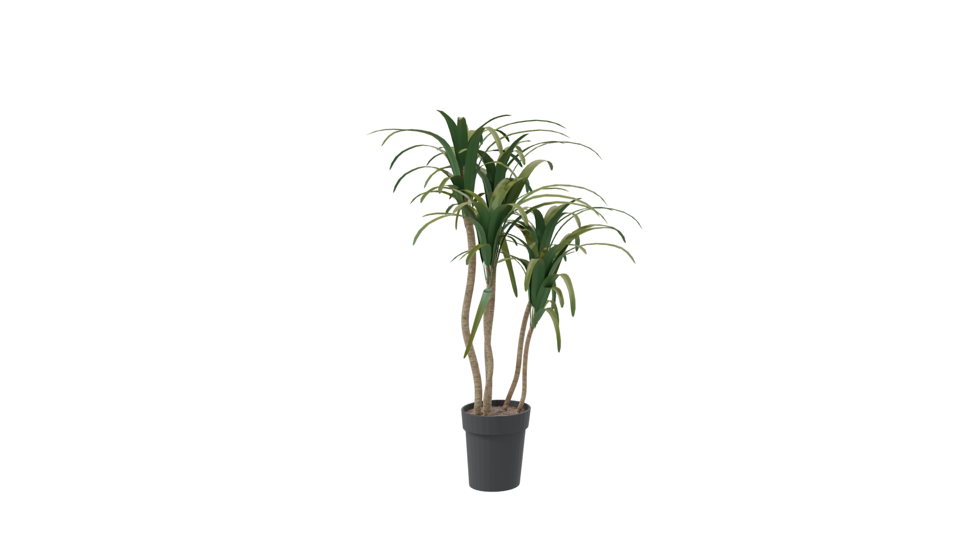 Stylized Potted Plant Model - Professional 3D Model Render 8