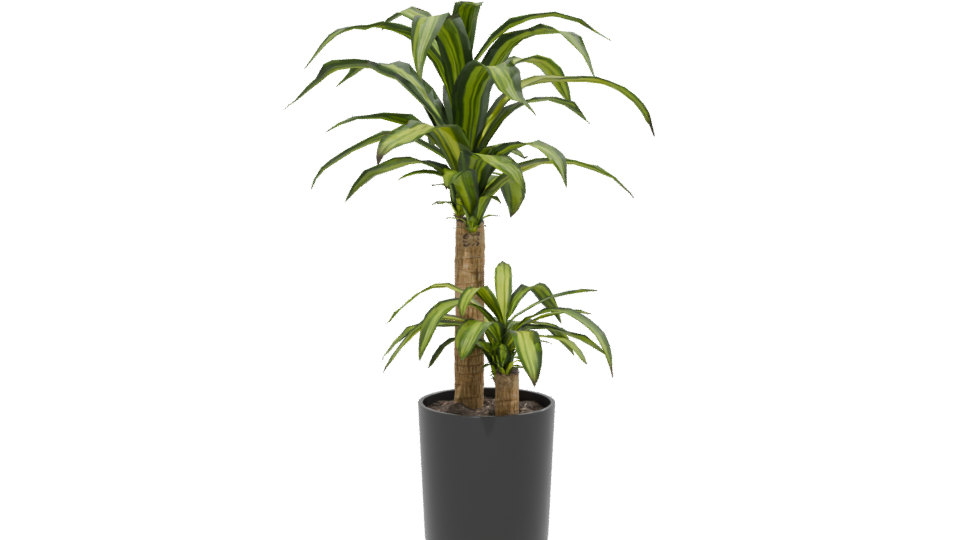 Stylish Indoor Plant Model 3D - Professional 3D Model Render 13
