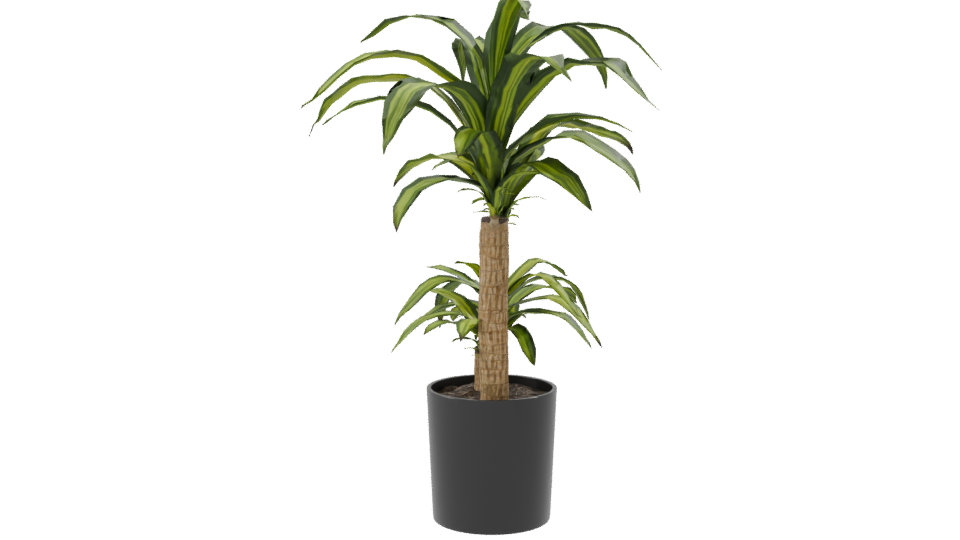 Stylish Indoor Plant Model 3D - Professional 3D Model Render 8