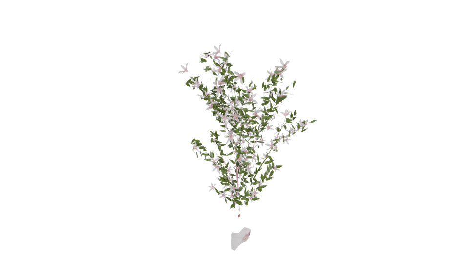 Realistic Flowering Plant 3D Model - Professional 3D Model Render 5