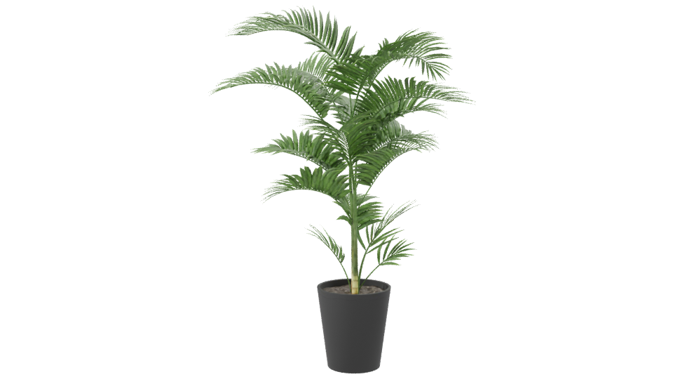 Lifelike Indoor Plant Model - Professional 3D Model Render 8