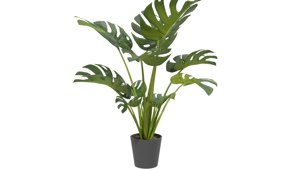 Stylized Indoor Plant Model 3D - Professional 3D Model Render 13