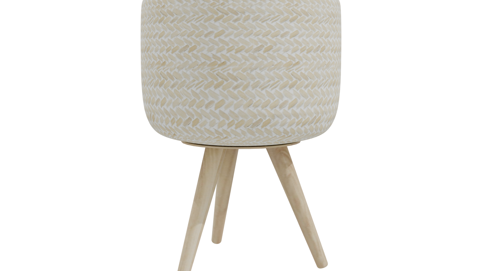 Stylish Indoor Plant Pot 3D - Professional 3D Model Render 10