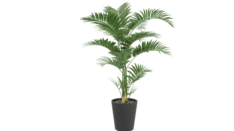 Lifelike Indoor Plant Model - Professional 3D Model Render 10