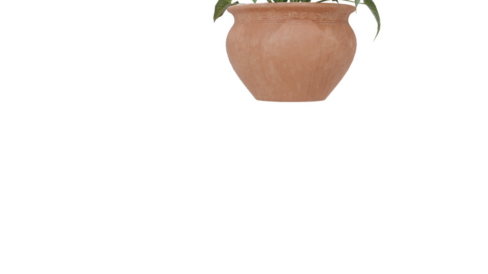 Decorative Potted Plant 3D Model - Professional 3D Model Render 6