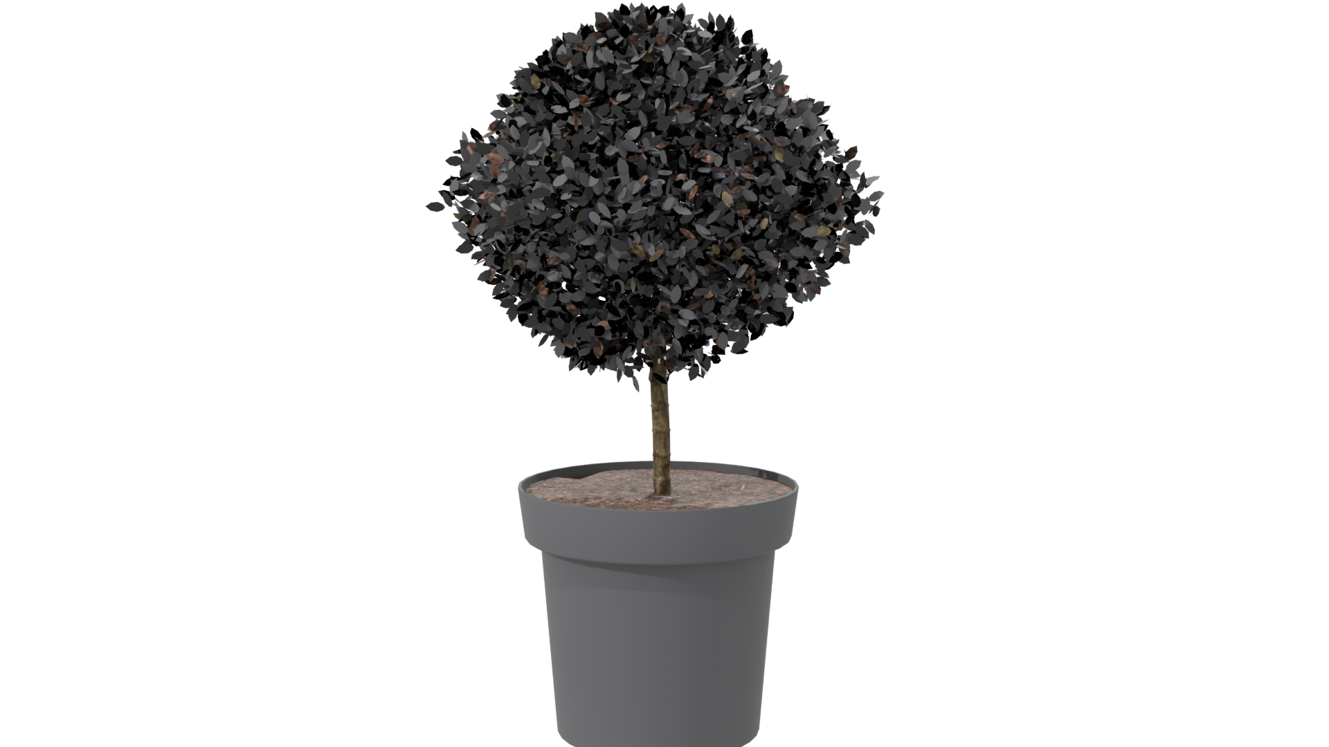 Stylized Potted Topiary Plant - Professional 3D Model Render 7