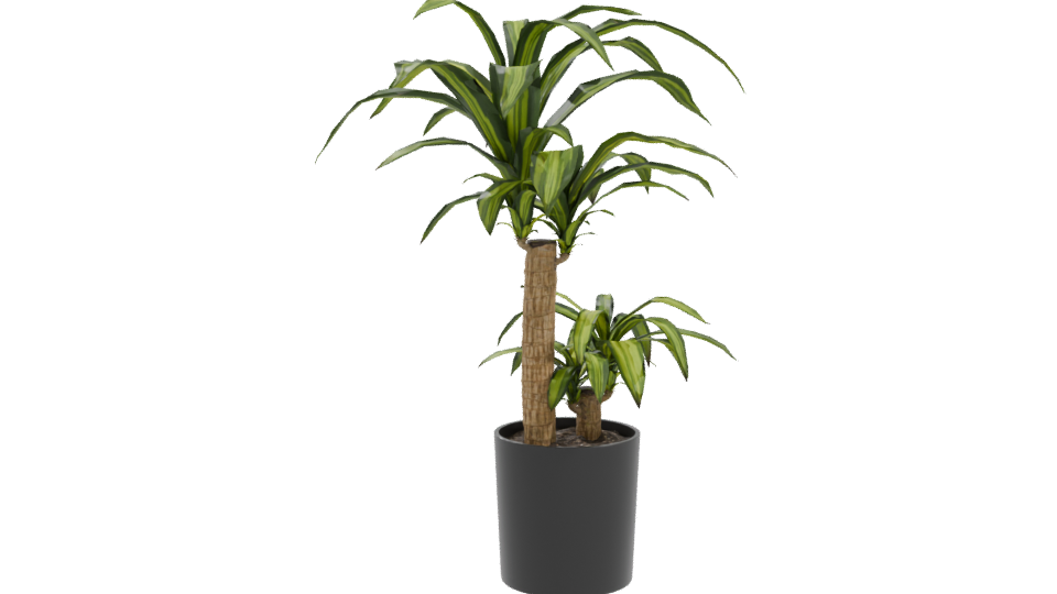 Stylish Indoor Plant Model 3D - Professional 3D Model Render 10