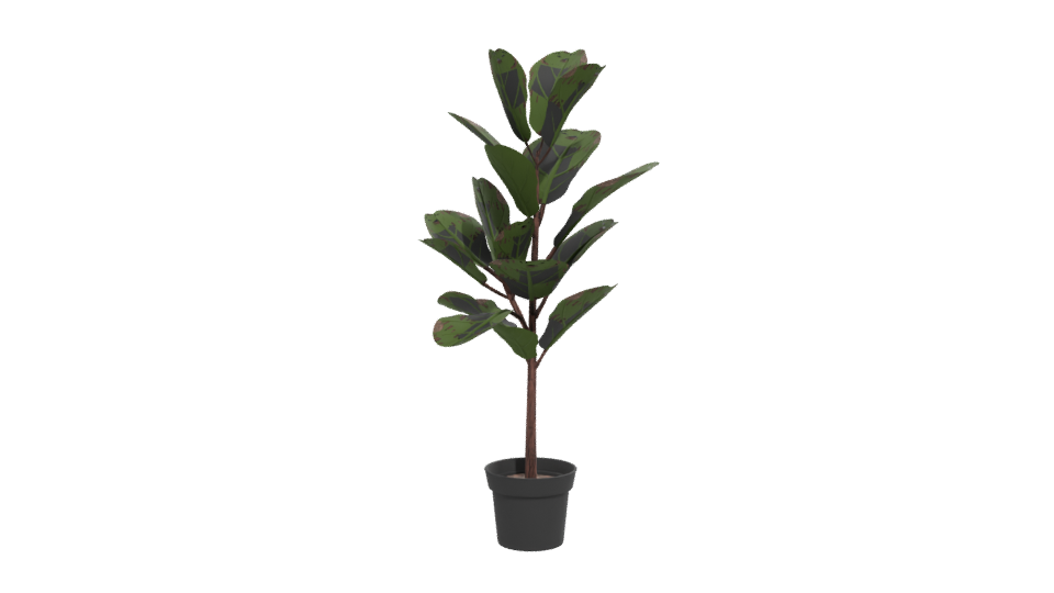 Realistic Indoor Plant Model - Professional 3D Model Render 12
