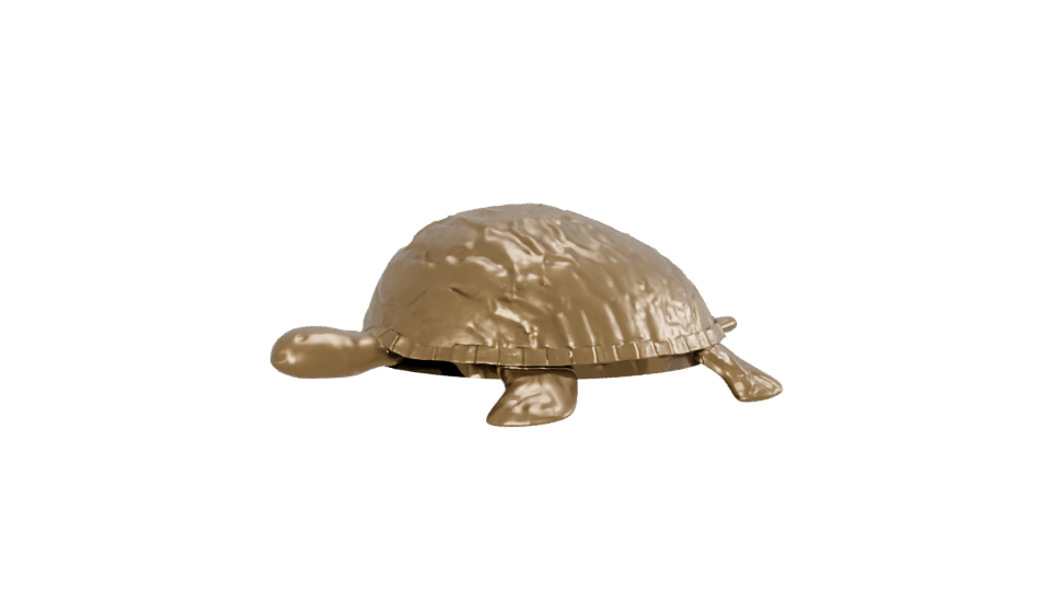 Stylized Golden Turtle Model 3D - Professional 3D Model Render 13