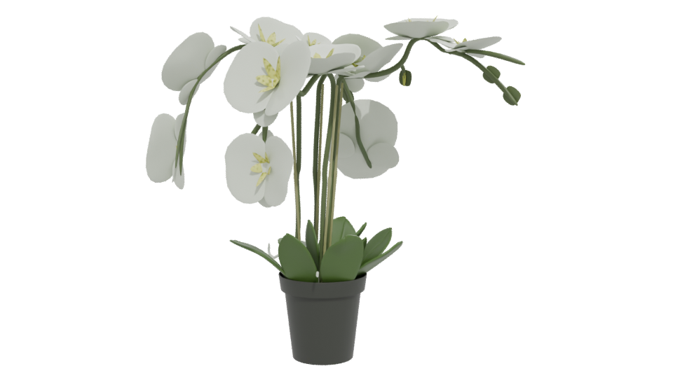 Elegant Orchid Plant 3D Model - Professional 3D Model Render 12