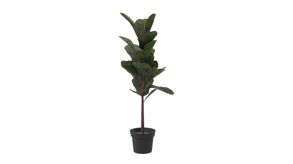 Realistic Indoor Plant Model - Professional 3D Model Render 8