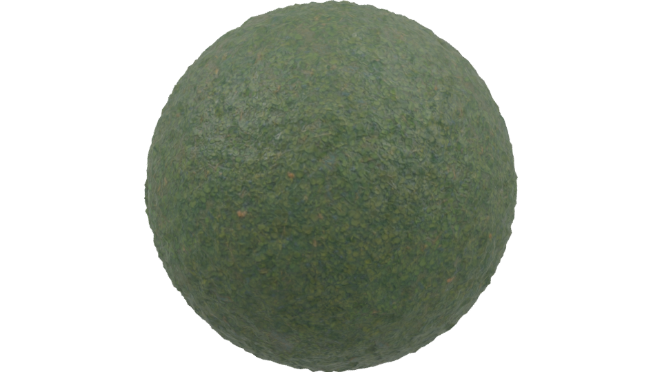 Realistic Green Grass Terrain 3D Model - Professional 3D Model Render 3