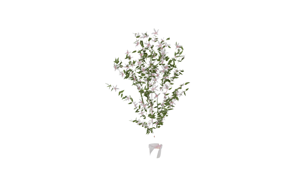 Realistic Flowering Plant 3D Model - Professional 3D Model Render 2