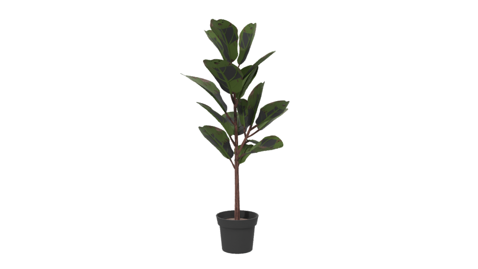 Realistic Indoor Plant Model - Professional 3D Model Render 6