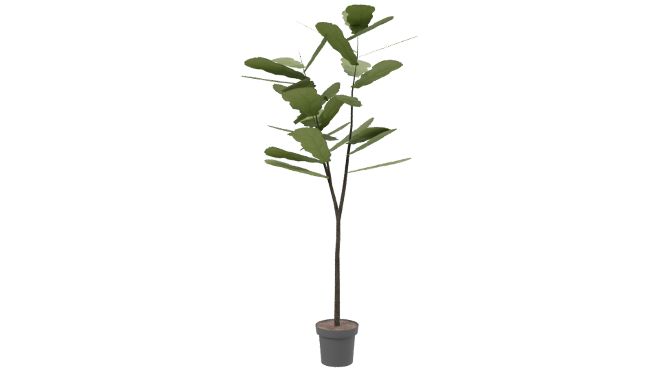 Stylized Indoor Plant 3D Model for Home Decor - Professional 3D Model Render 2