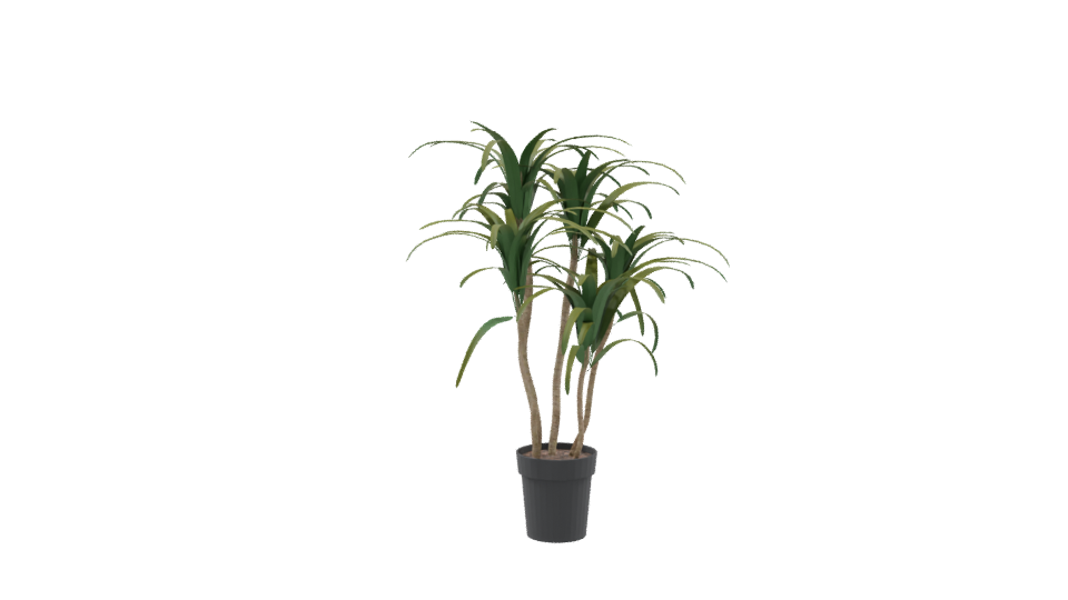 Stylized Pot Plant 3D Model - Professional 3D Model Render 9