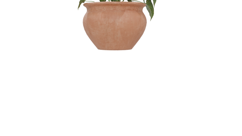 Decorative Potted Plant 3D Model - Professional 3D Model Render 5
