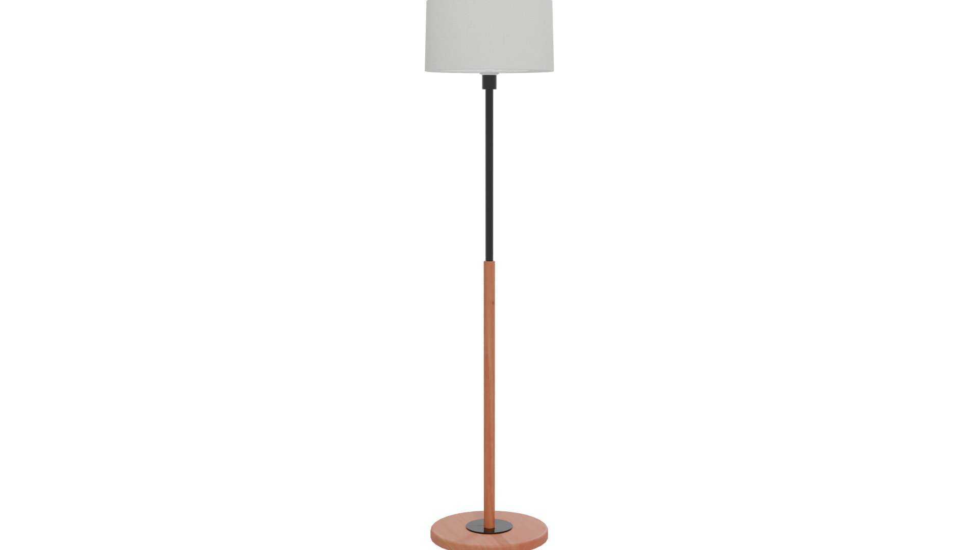 Modern Floor Lamp 3D Model - Professional 3D Model Render 24