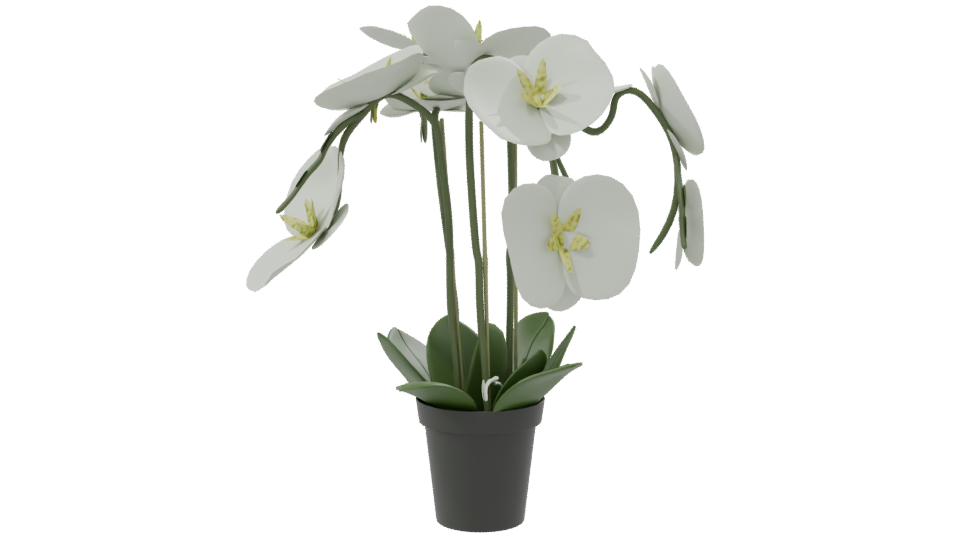 Elegant Orchid Plant 3D Model - Professional 3D Model Render 8