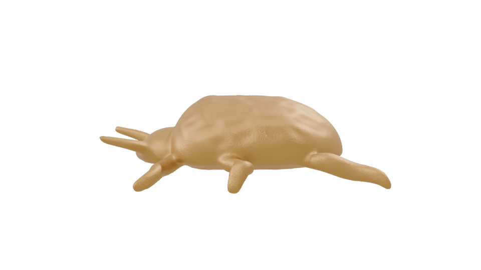 Stylized Golden Turtle 3D Model - Professional 3D Model Render 8