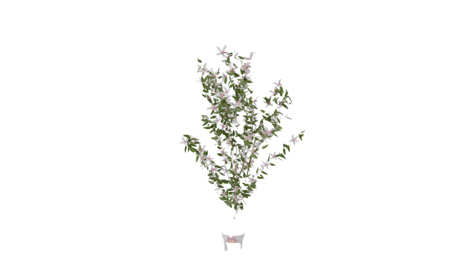Realistic Flowering Plant 3D Model - Professional 3D Model Render 7
