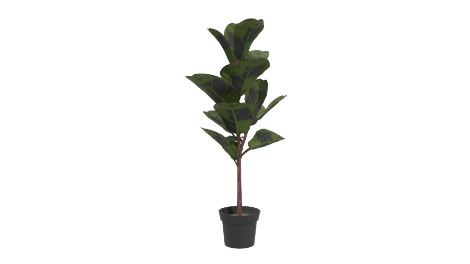 Realistic Indoor Plant Model - Professional 3D Model Render 4