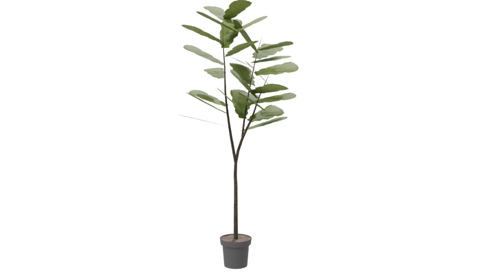 Stylized Indoor Plant 3D Model for Home Decor - Professional 3D Model Render 7