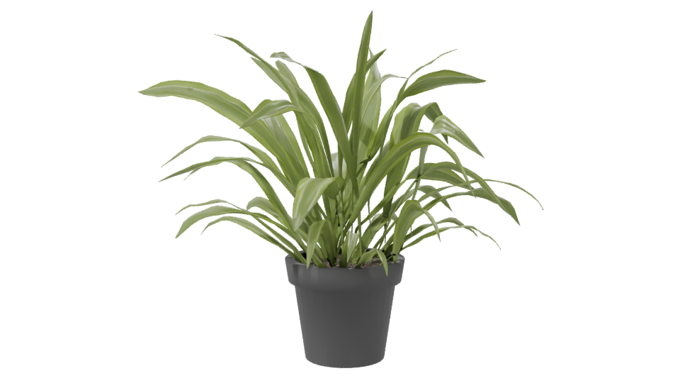 Artificial Plant in Pot 3D Model - Professional 3D Model Render 7