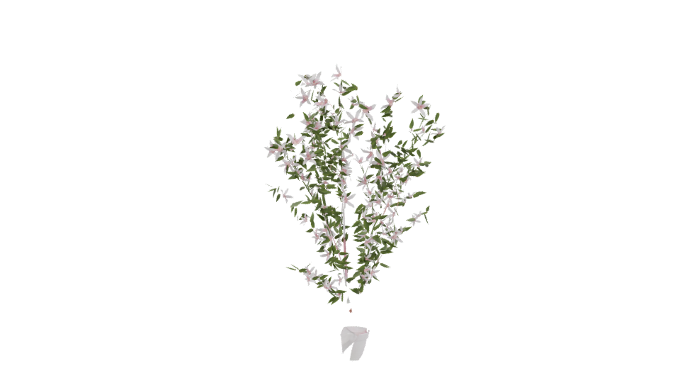 Realistic Flowering Plant 3D Model - Professional 3D Model Render 3