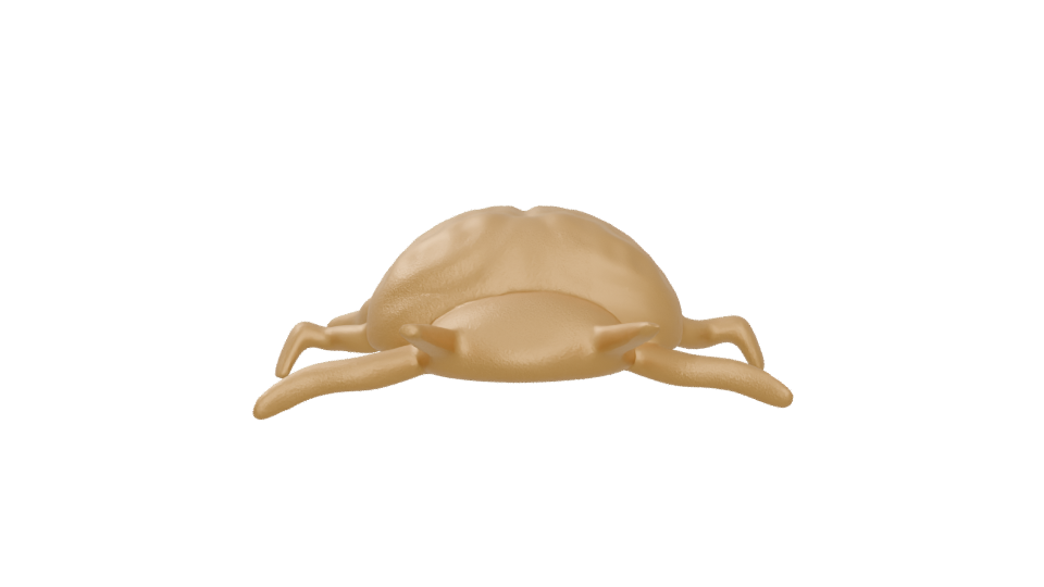 Stylized Golden Turtle 3D Model - Professional 3D Model Render 5