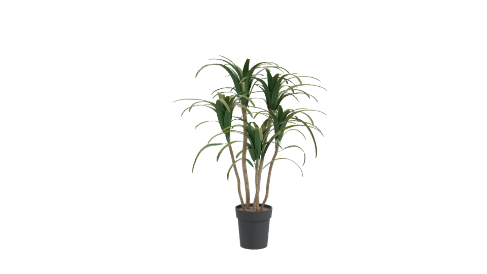 Stylized Pot Plant 3D Model - Professional 3D Model Render 10