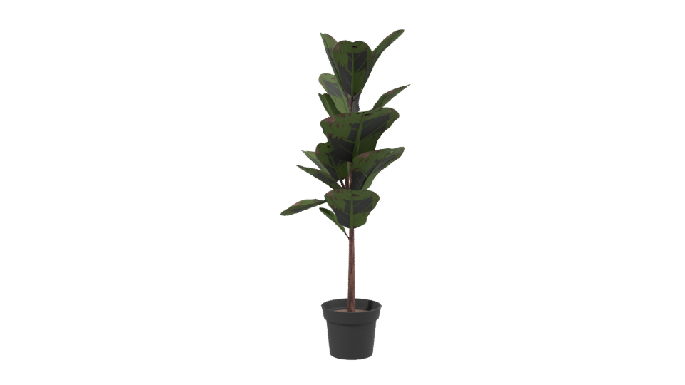 Realistic Indoor Plant Model - Professional 3D Model Render 2