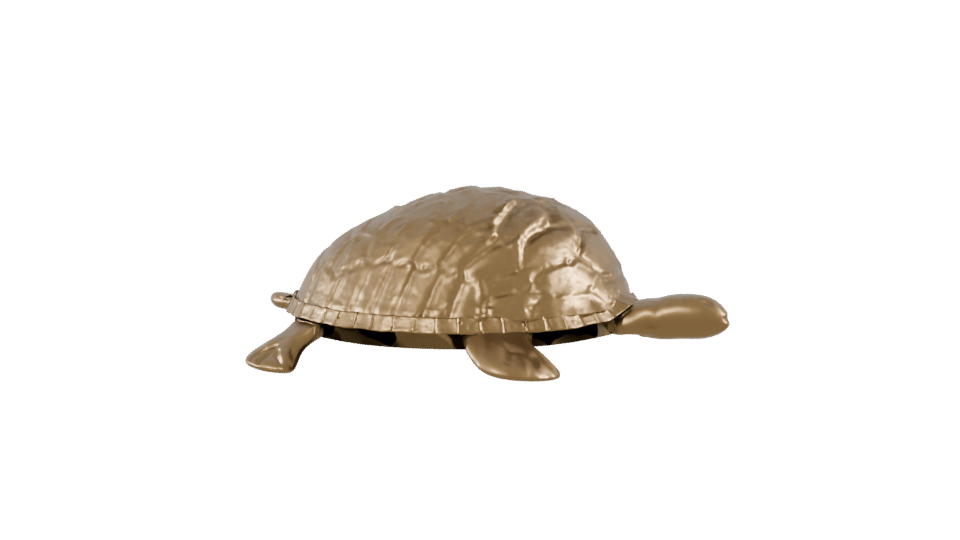Stylized Golden Turtle Model 3D - Professional 3D Model Render 9