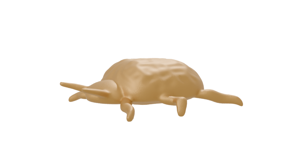 Stylized Golden Turtle 3D Model - Professional 3D Model Render 7