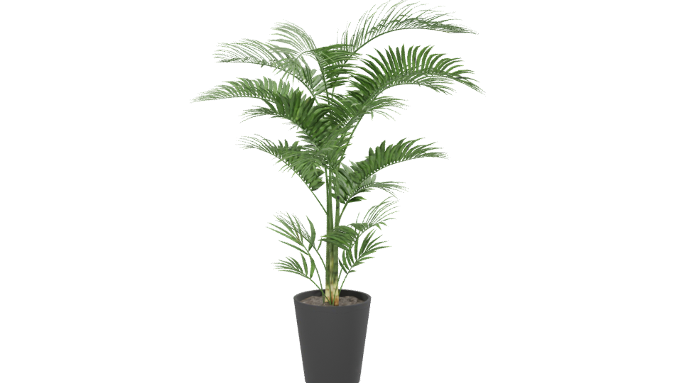 Lifelike Indoor Plant Model - Professional 3D Model Render 13