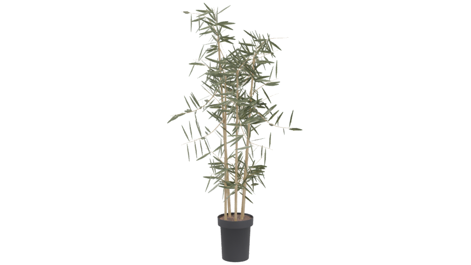 Artificial Bamboo Plant 3D Model - Professional 3D Model Render 4