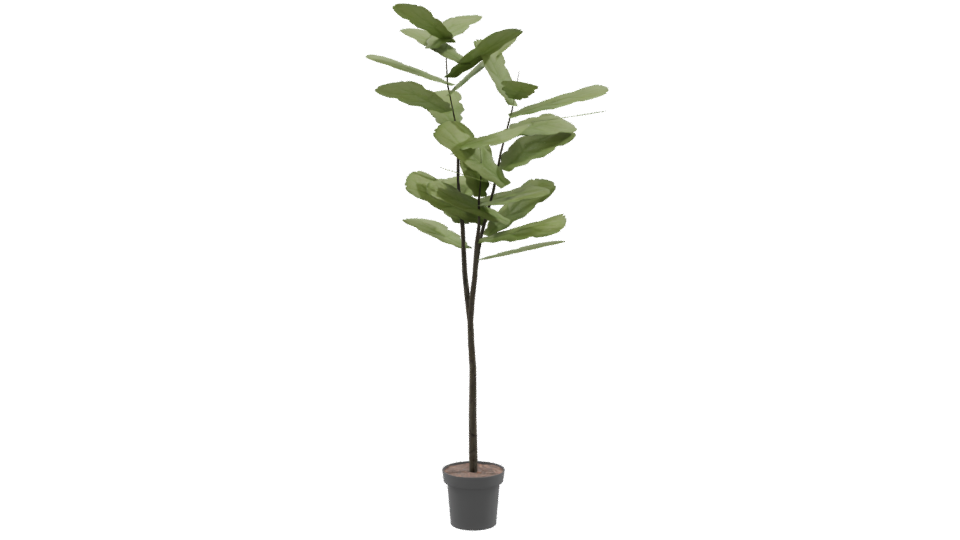 Stylized Indoor Plant 3D Model for Home Decor - Professional 3D Model Render 9