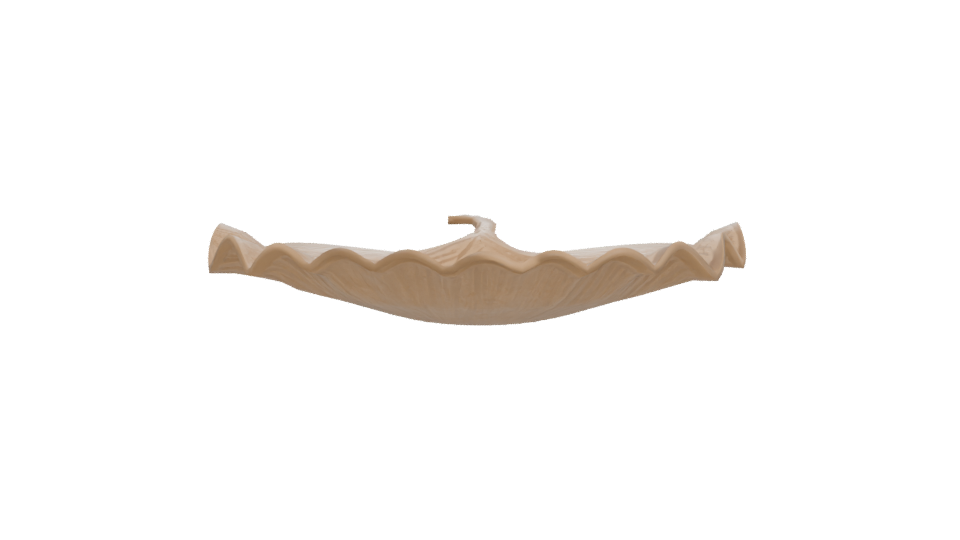 Elegant Decorative Shell Model - Professional 3D Model Render 11