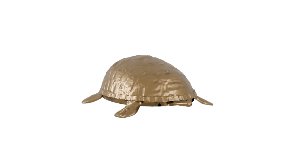 Stylized Golden Turtle Model 3D - Professional 3D Model Render 4