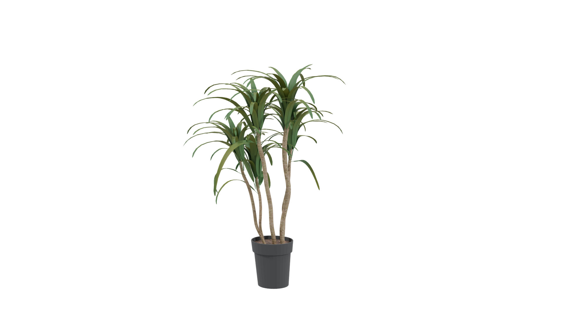 Stylized Potted Plant Model - Professional 3D Model Render 3