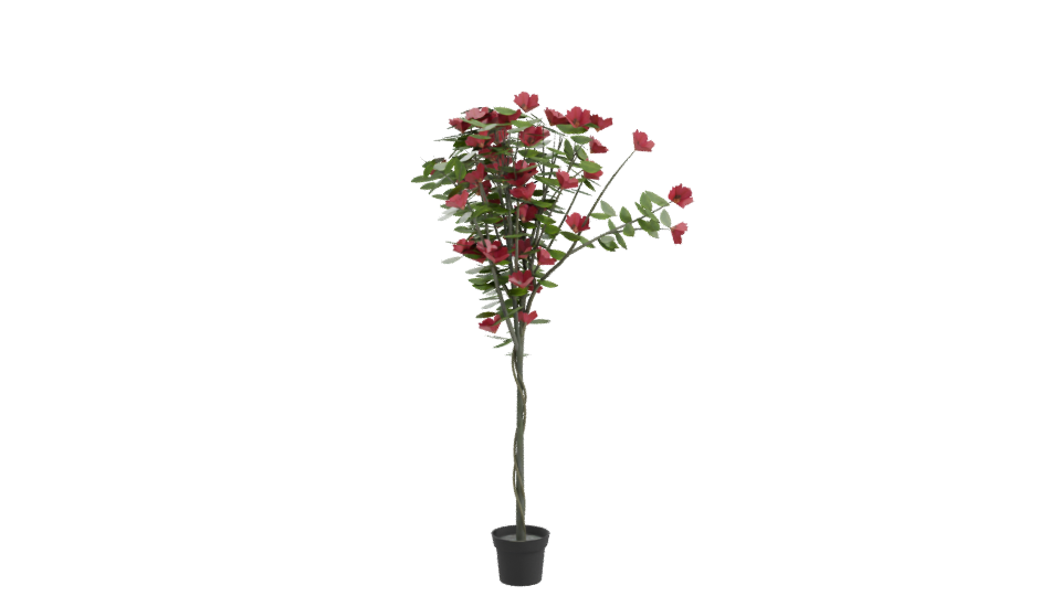 Lifelike Floral Decoration Model - Professional 3D Model Render 10