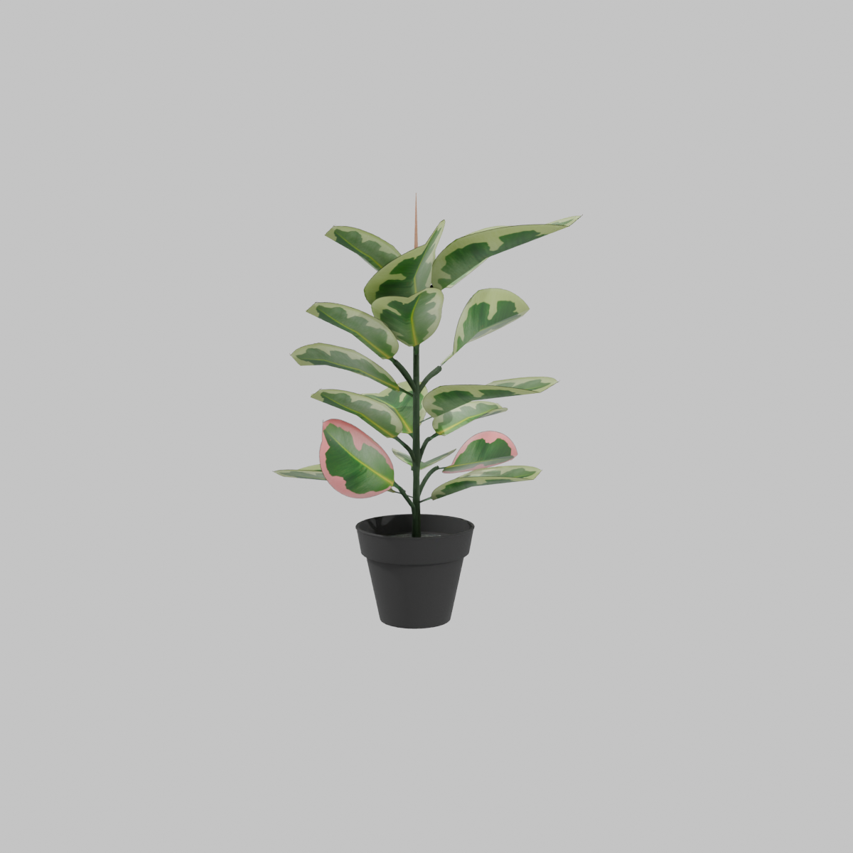 Planta artificial Gomero rosado 43 cm
