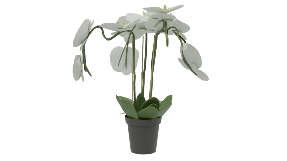 Elegant Orchid Plant 3D Model - Professional 3D Model Render 2